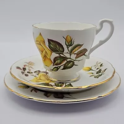 Buy Bone China Royal Standard Sunset Trio Tea Cup Saucer Plate Yellow Roses • 11.99£