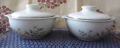 Buy Two Royal Doulton - Lambethware Will O' The Wisp -  Casserole Dishes - LS1023 • 9.99£