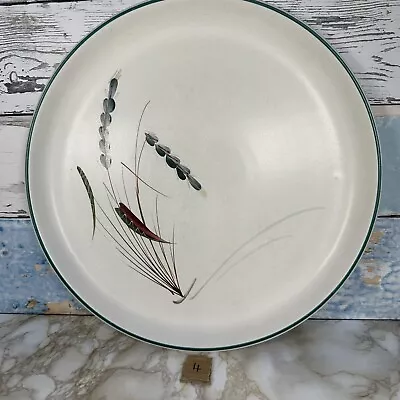 Buy Vintage Denby Greenwheat Stoneware 10  / 26 Cm Dinner Plate (4) • 4£