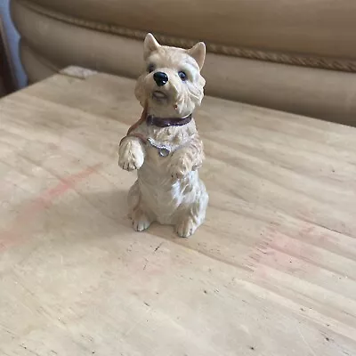 Buy Royal Osborne Cairn Terrier  Dog Figure • 13.99£