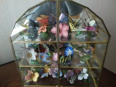 Buy Franklin Mint  Butterflies Of The World  15 Butterflies With Glass Display Case. • 320£