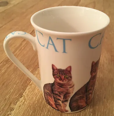 Buy Kent Pottery Fine Porcelain CAT Coffee Mug Tea Cup Cat Lady Gift - 4  Tall • 16.96£