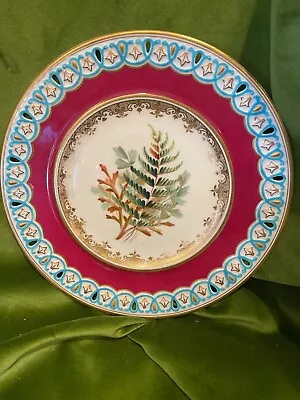 Buy Late 19th/early 20th C. Bone China Minton/Royal Worcester? Plate. • 28£