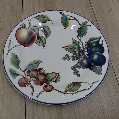 Buy Autumn Fayre Dinner Plate 10 Inch 26cm Staffordshire Tableware • 9.85£