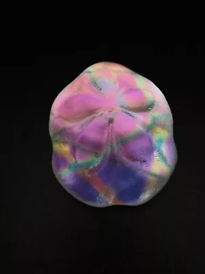 Buy Robin Lehman '09  Art Glass Sand Dollar  Multi Color Paperweight. • 29.82£