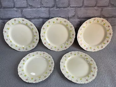 Buy Antique Ridgway Hand Painted Bedford Ware -  Floral Dinner Plates X5 23-25cm • 79.99£