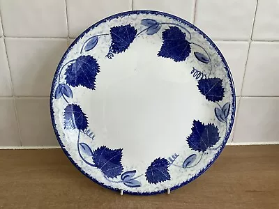 Buy Poole Blue Vine - 1 X 27 Cm Dinner Plate  • 9£
