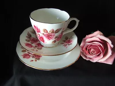 Buy Vintage Duchess Bone China Trio Pink Roses Brown Leaves Tea Cup Saucer & Plate • 4.99£