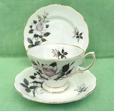 Buy Royal Albert Bone China  Queen's Messenger  Tea Trio - Cup, Saucer & Side Plate • 9.99£