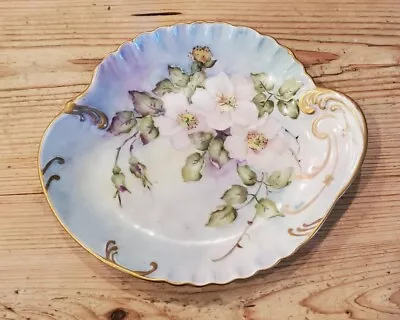 Buy Antique Bavarian Hand Painted Floral Dish Plate, Paisley Shape, Mint  • 54.98£
