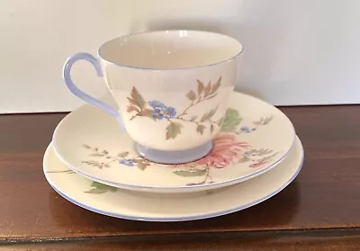 Buy Shelley Bone China 'Chrysanthemum' Tea Cup Trio • 30£