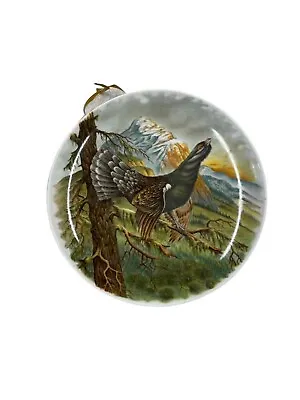 Buy Kaiser West Germany Porcelain Plate Decorative Black Grouse 8  • 13.88£