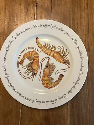 Buy Richard Bramble For Jersey Pottery Shrimp Prawn 12” Plate Round New • 15.68£