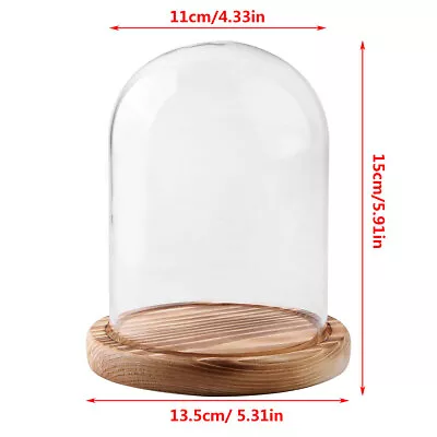 Buy Glass Display Cloche Bell Jar Dome With Wooden Base Decorative Desk Vintage UK • 6.99£