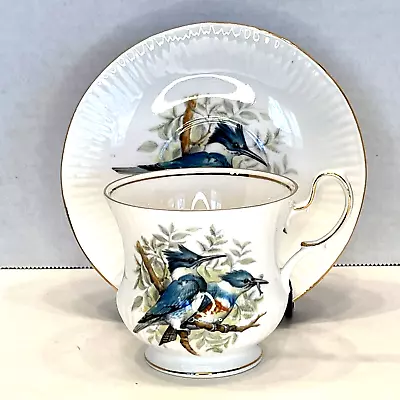 Buy Kingfisher Tea Cup & Saucer Queen's Fine Bone China Rosina China Company England • 24.27£