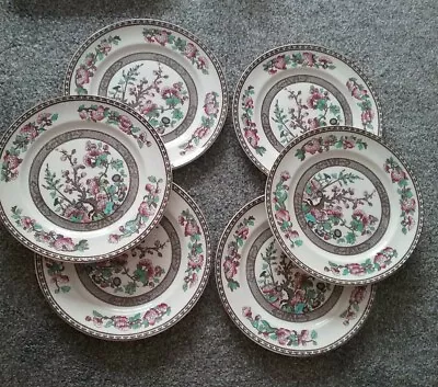 Buy Bridgwood  The Olde Indian Tree Six Dinner Plates Approx 23cms Vintage • 30£