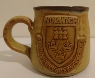 Buy Stoneware Pottery - Tea/Coffee Mug - Norwich, University Of East Anglia • 14.99£