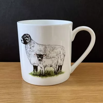 Buy Bone China 18fl Oz Sheep And Lamb Mug Hand Decorated (Almost A Pint) • 10.99£