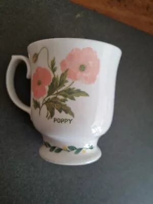 Buy Roy Kirkham Fine Bone China Mug Poppy Herbs N Spices • 4.99£