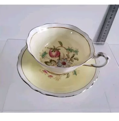 Buy Paragon Primula Porcelain Cup & Saucer Vintage Floral Design  • 12.99£