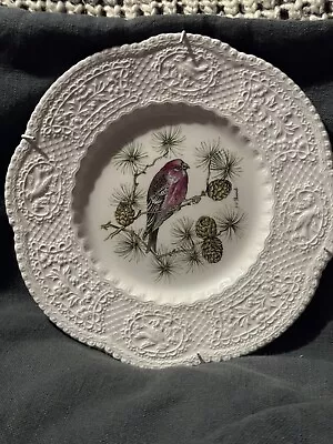 Buy Royal Cauldron Pine Grosbeak Decorative  Plate • 5£