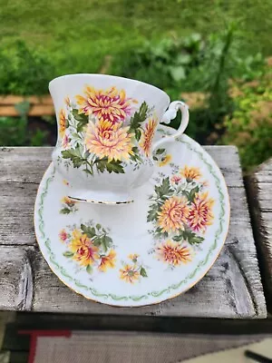 Buy Antique Queens Fine Bone China Special Flowers Crysanthemum Cup And Saucer • 11.19£