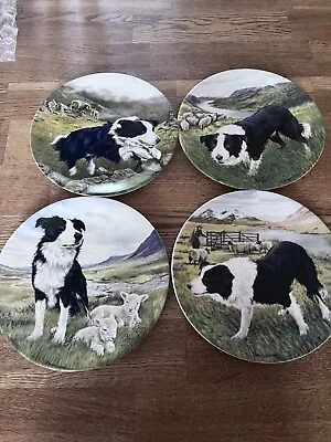 Buy Royal Grafton Decorative Plates • 15£