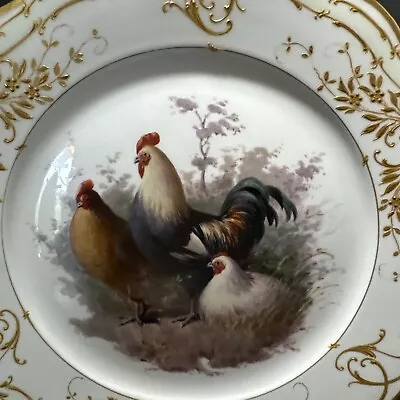 Buy KPM Berlin Game Bird Plate Hand Painted Rooster  Relief Gold Art Nouveau Border • 368.77£