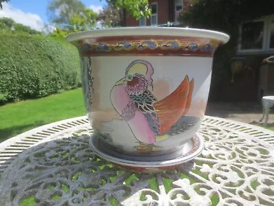 Buy Chinese Kewdos Large Decorated Porcelain Jardiniere Planter Plant Pot & Saucer • 105£