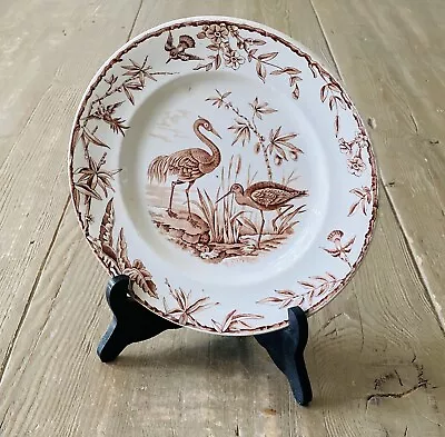 Buy Antique 1870s Ridgway Sparks & Ridgway Indus Luncheon Plate Brown Herons Birds • 32.61£