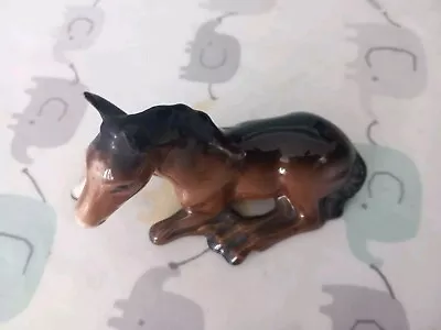 Buy Beswick Lovely Brown/bay Gloss Foal Lying Down  • 11£