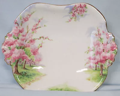 Buy Royal Albert Older Blossomtime Bon Bon 7  Dish • 21.43£