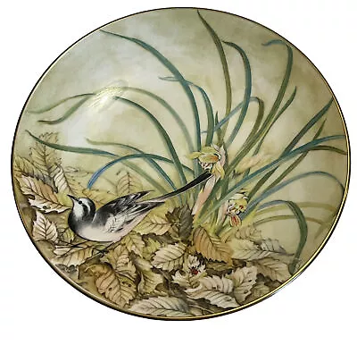 Buy Coalport Vtg Fine Bone China Oriental Bird Studies White Wagtail Plate 20cm • 9.99£