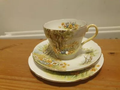 Buy Vintage Shelley Fine Bone China Daffodil Time Tea Cup, Saucer & Side Plate Trio • 8.99£