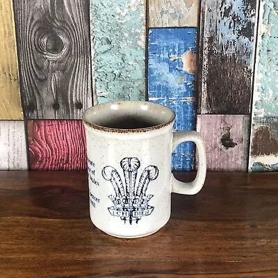 Buy Rare Vintage Dunoon Pottery Scotland Stoneware Mug Cup Ceramics Lady Diana 1981 • 14.99£