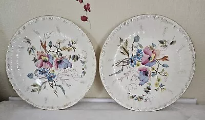 Buy 2x Antique Franz Anton Mehlem Floral  Handpainted Plates With Built-in Hanger. • 17.49£