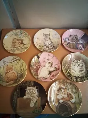 Buy ROYAL WORCESTER HAMILTON KITTEN CLASSICS PLATE COLLECTION X 8 Set Cat 8  EXC • 20£