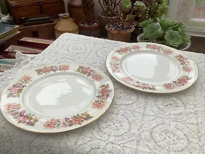 Buy Colclough Wayside Pair Of 10 1/2'' Dinner Plates • 8£