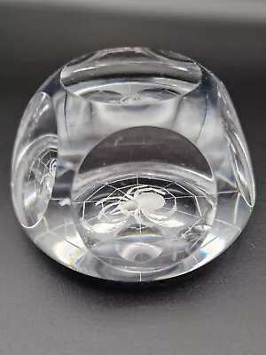 Buy Webb Corbett Clear Glass Spider Etched Paperweight  • 25.99£
