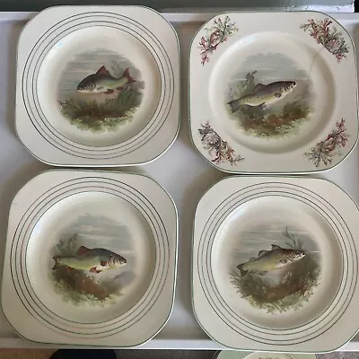 Buy Fish Plates • 2.50£