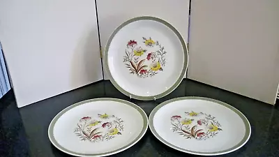 Buy Alfred Meakin Sunshine Sue 3x Dinner Plates 10  • 28£