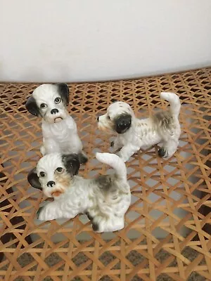 Buy Vintage Bone China Dog Figurine Ornaments X3 Japan Sitting Terriers Mid Century • 6£