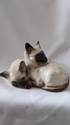Buy BESWICK Two Siamese Kittens Curled Together Figurine    • 9.99£