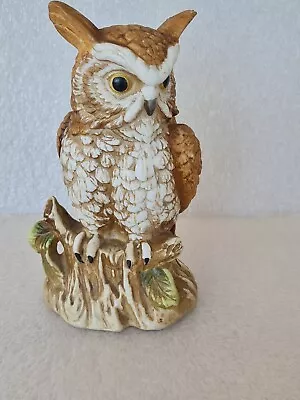 Buy Adolf Wache Bisque Porcelain Owl - Made In Dresden, Germany • 12.99£