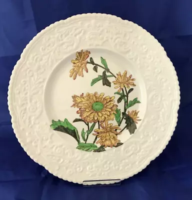 Buy Royal Cauldon  Chrysanthemiam English Botanical Series Plate No 1 - FREE POSTAGE • 24.95£
