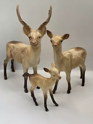 Buy Beswick Fallow Deer Family, Stag, Doe & Fawn • 145£