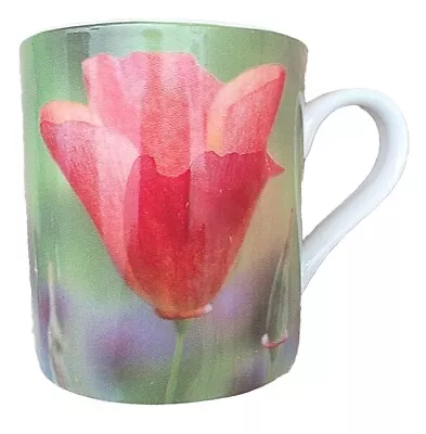 Buy Queens Kitchen California  Poppies Fine Bone China Photographic Mug. • 3.60£