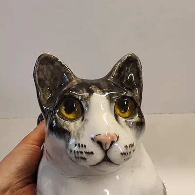 Buy Winstanley Cat Size 5 Cathedral Glass Eyes Signed  • 98.99£