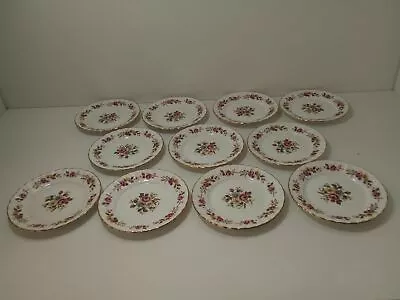 Buy Royal Stafford Floral Dessert Plate Set Gold Rim Bone China 16.5cm - 11 Plates • 12£