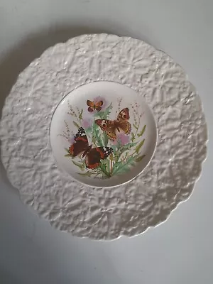 Buy Royal Cauldon Butterflies Of The World 23.5cm Embossed Rim Collectors Plate • 10£